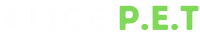 website logo